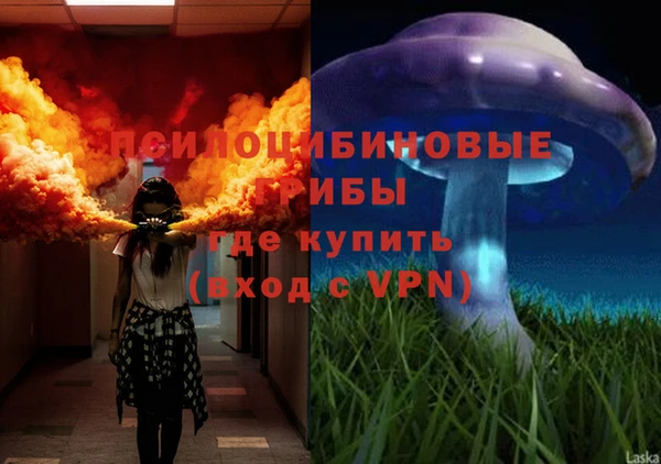 прущая мука Гусь-Хрустальный