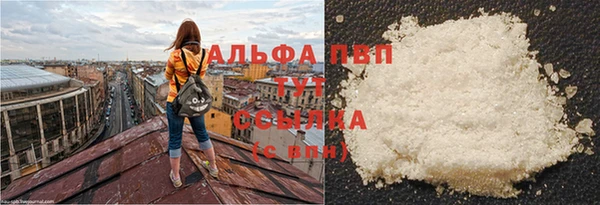 spice Пестово