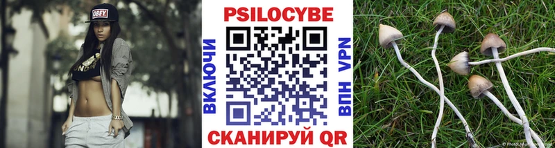 Купить закладки  Камбарка  Псилоцибиновые грибы Cubensis 