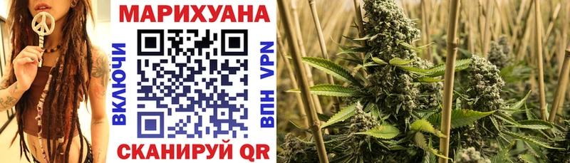 Канабис сатива  Купить закладки  Камбарка 